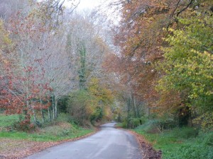 Route de guengat