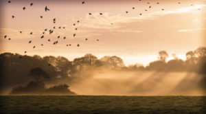 LAUREATS DU CONCOURS PHOTOS ET JOURNEE DU PATRIMOINE